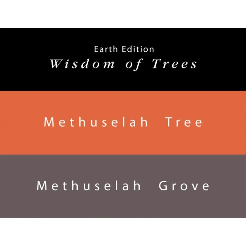 Colorverse Earth Edition Methuselah Tree & Grove (65ml 15ml)