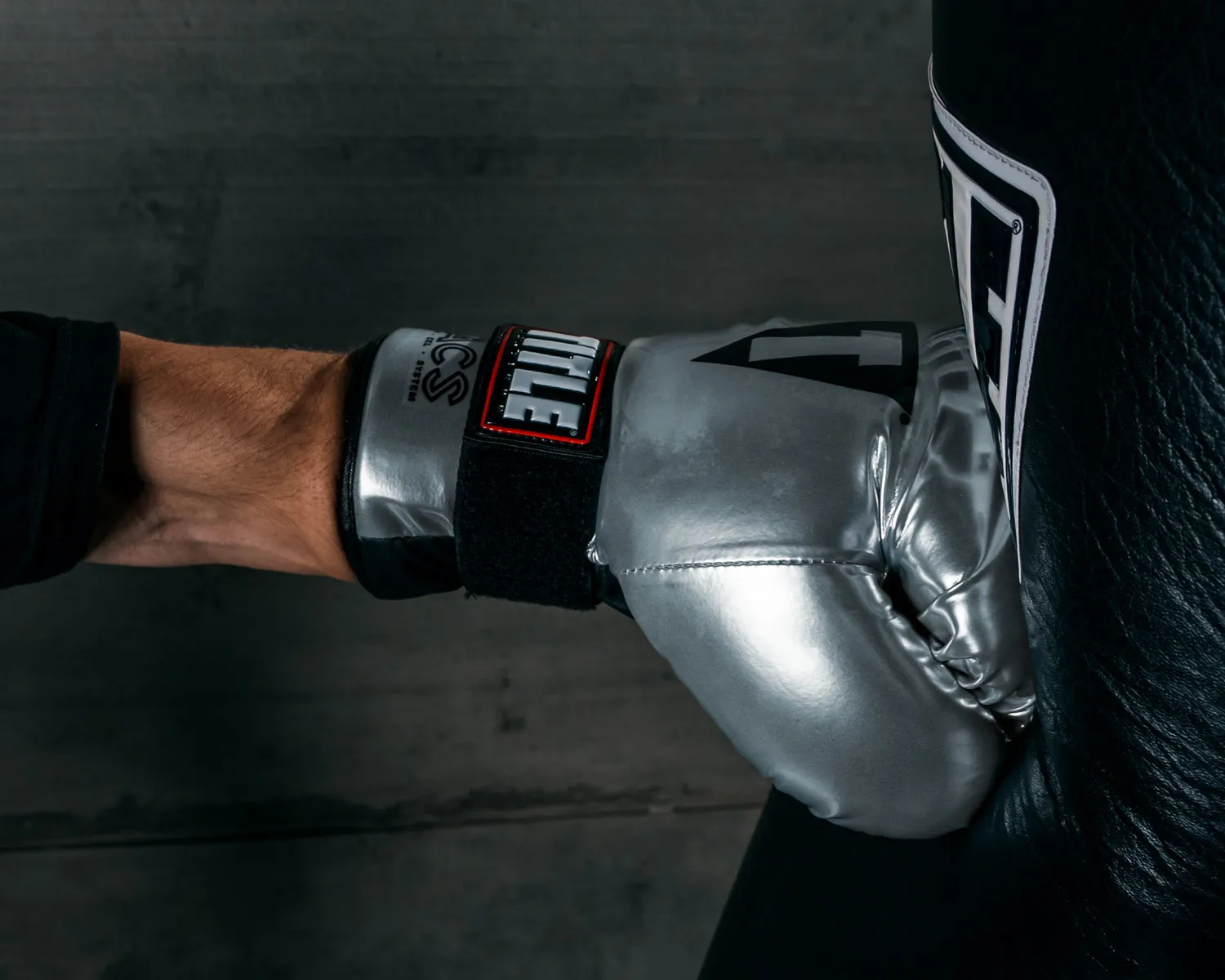 TITLE Platinum ACS Boxing Bag Gloves 2.0