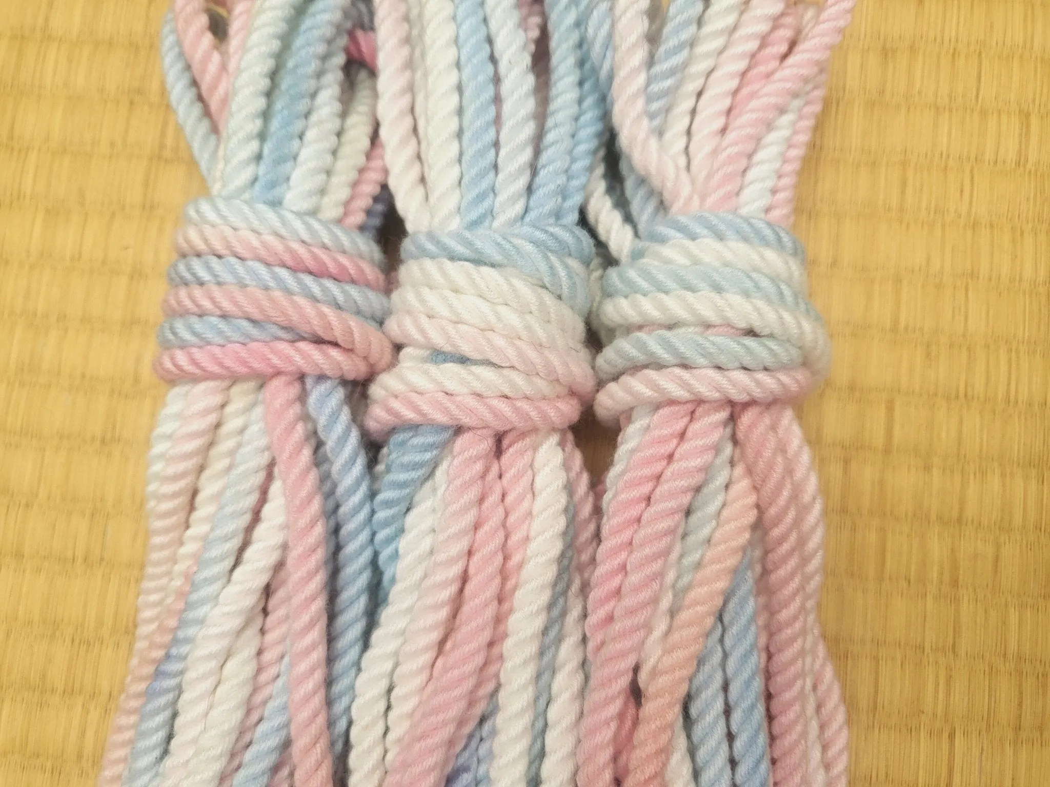 Trans Pride Bondage Rope in Bamboo