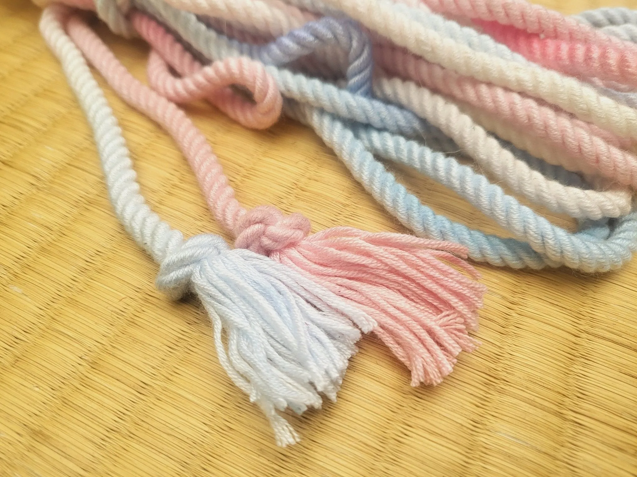 Trans Pride Bondage Rope in Bamboo